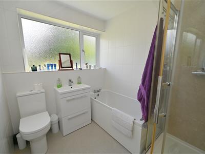 Picture 12